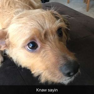 Meet your Posher, Jeremiah